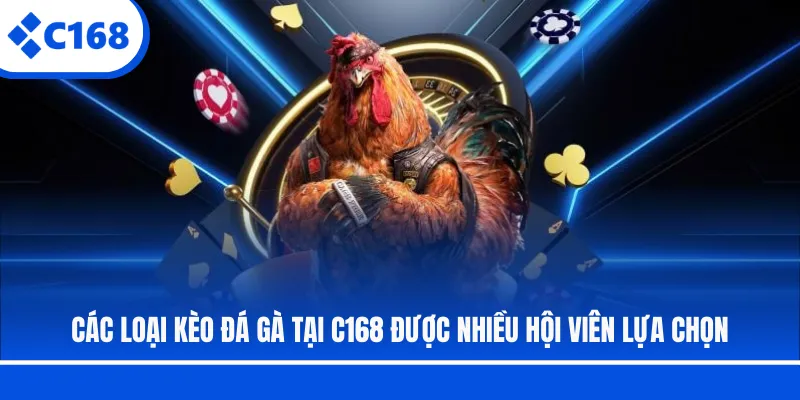 Các loại kèo đá gà tại C168 được nhiều hội viên lựa chọn
