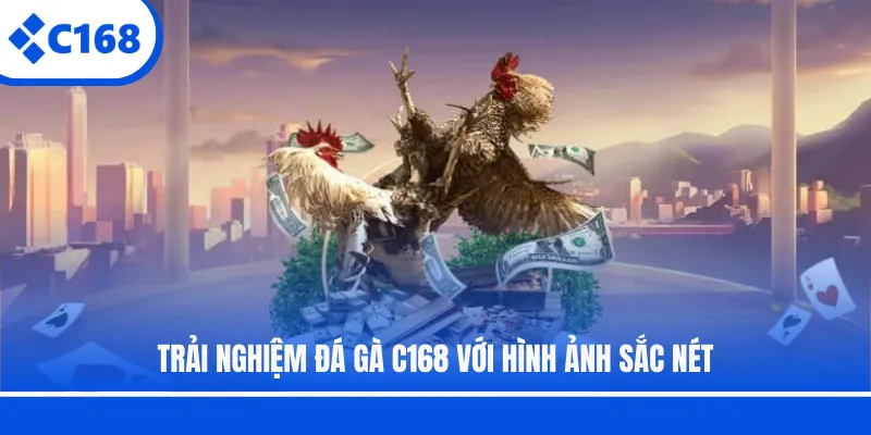 Trải nghiệm đá gà C168 với hình ảnh sắc nét