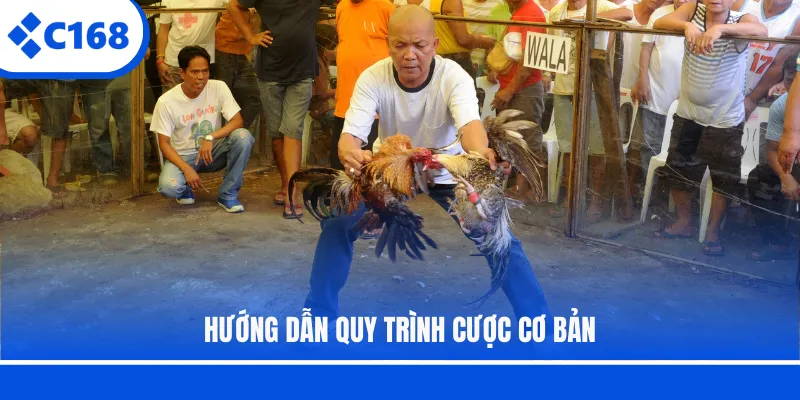 Hướng dẫn quy trình cược cơ bản