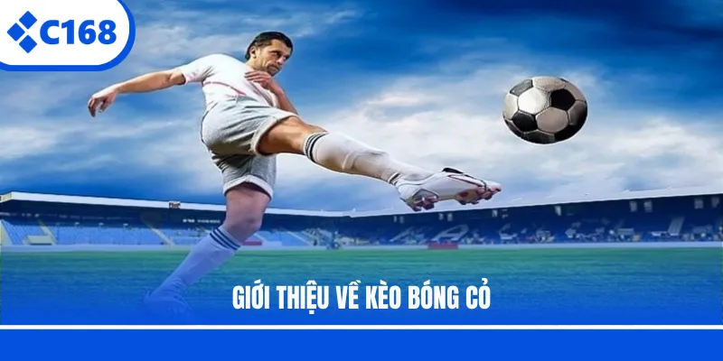 Giới thiệu về kèo bóng cỏ