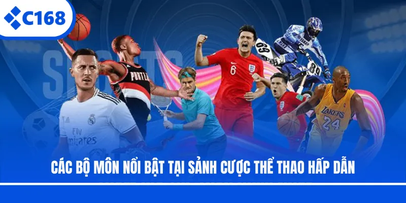 Các bộ môn nổi bật tại sảnh cược thể thao hấp dẫn